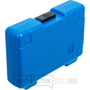 Univerzális készlet | féknyereg légtelenítő szelepek javításához tárcsafékekhez BGS 9346 | 1/4 Univerzális készlet | féknyereg légtelenítő szelepek javításához tárcsafékekhez BGS 9346 | 1/4