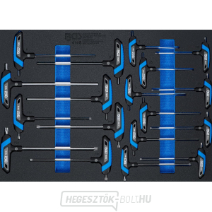 Műhelykocsi betét 3/3: csavarhúzó készlet T-fogantyúval | belső hatszögletű, T-profil (Torx-hoz) BGS 4148 | 18 kötet Műhelykocsi betét 3/3: csavarhúzó készlet T-fogantyúval | belső hatszögletű, T-profil (Torx-hoz) BGS 4148 | 18 kötet gallery main image