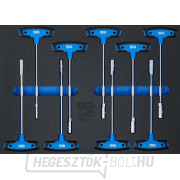 Műhelykocsi betét 3/3: dugókulcs készlet T-fogantyúval BGS 4192 | 9 darabos Műhelykocsi betét 3/3: dugókulcs készlet T-fogantyúval BGS 4192 | 9 darabos gallery main image