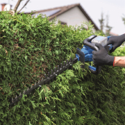 Scheppach BC-HT720-X vezeték nélküli 20 V-os sövénynyíró (akkumulátor és töltő nélkül) Előnézet 