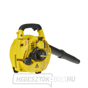 JG benzines lombfúvó (4) JG benzines lombfúvó (4) náhled