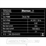 Kétoldalas ponthegesztő lemezekhez F30 230V ponthegesztő F30 230V Kétoldalas ponthegesztő lemezekhez F30 230V ponthegesztő F30 230V náhled