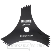 Bozótvágó penge (D255*25.4) 3T (DRAGON) PROCRAFT | H-3T/D Bozótvágó penge (D255*25.4) 3T (DRAGON) PROCRAFT | H-3T/D gallery main image
