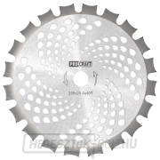 Bozótvágó penge (D255*25.4) 40 fog (kétoldalas) PROCRAFT | H/P-2 Bozótvágó penge (D255*25.4) 40 fog (kétoldalas) PROCRAFT | H/P-2 gallery main image