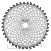 Bozótvágó penge (penge) (D255*25.4) 40 fogú volfrám-karbid PROCRAFT | H/P-40T Bozótvágó penge (penge) (D255*25.4) 40 fogú volfrám-karbid PROCRAFT | H/P-40T gallery main image