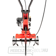 Hahn & Sohn Cedrus 360a kultivátor Loncin LC1P65FE motorral náhled