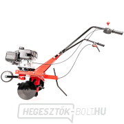 Hahn & Sohn Cedrus 360a kultivátor Loncin LC1P65FE motorral náhled