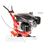 Hahn & Sohn Cedrus 360a kultivátor Loncin LC1P65FE motorral náhled