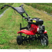 Hahn & Sohn Cedrus GL05 kultivátor náhled