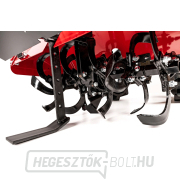 Hahn & Sohn Cedrus kultivátor GLX540 náhled