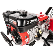 Hahn & Sohn Cedrus kultivátor GLX540 náhled
