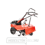 Hahn & Sohn Cedrus kultivátor GLX680 náhled