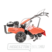 Hahn & Sohn Cedrus kultivátor GLX680 náhled