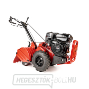 Benzines kultivátor Hahn & Sohn Cedrus GL03PRO-B&S Előnézet 