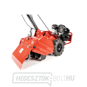 Benzines kultivátor Hahn & Sohn Cedrus GL03PRO-B&S náhled