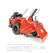 Benzines kultivátor Hahn & Sohn Cedrus GL03PRO-B&S náhled