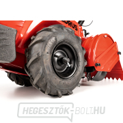 Benzines kultivátor Hahn & Sohn Cedrus GL03PRO-B&S náhled