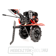 Benzines kultivátor Hahn & Sohn Cedrus GL900 náhled
