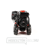 Hahn & Sohn Cedrus GLX-GT65-2B&S benzines kultivátor Előnézet 