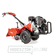 Hahn & Sohn Cedrus GLX-GT65-2B&S benzines kultivátor Előnézet 