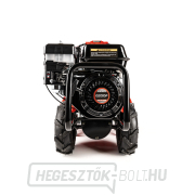 Hahn & Sohn Cedrus GLX-GT65-2L benzinmotoros kultivátor Előnézet 