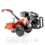 Hahn & Sohn Cedrus GLX-GT65-2L benzinmotoros kultivátor Előnézet 