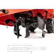 Hahn & Sohn Cedrus GLX-GT65-2L benzinmotoros kultivátor náhled
