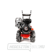 Benzines kultivátor Hahn & Sohn Cedrus GLX480 Előnézet 