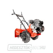 Benzines kultivátor Hahn & Sohn Cedrus GLX480 Előnézet 