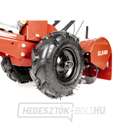 Benzines kultivátor Hahn & Sohn Cedrus GLX480 náhled