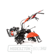 Benzines kultivátor Hahn & Sohn Cedrus GLX640 náhled