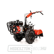 Benzines kultivátor Hahn & Sohn Cedrus GLX640 gallery main image