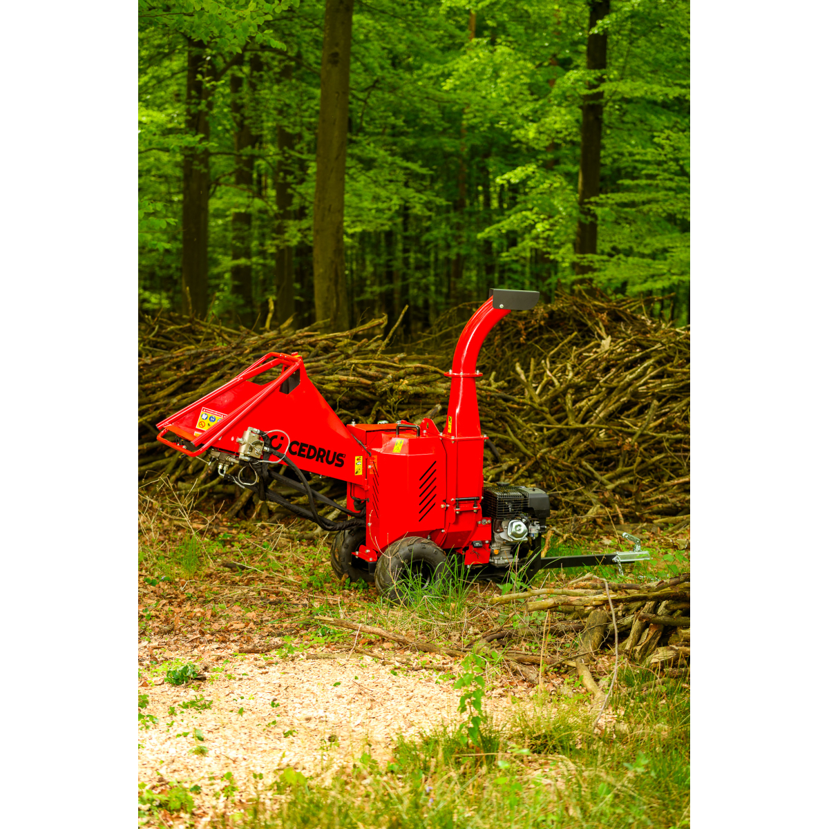 Hahn & Sohn Cedrus RB05PRO-HE ágaprító Előnézet 