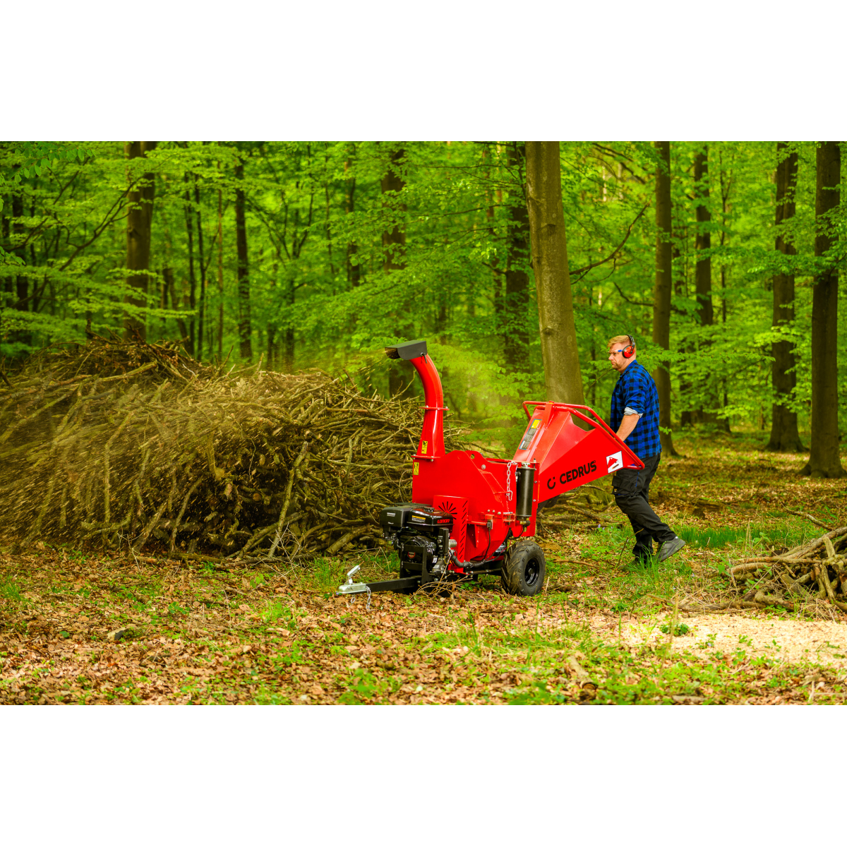 Hahn & Sohn Cedrus RB05PRO-HE ágaprító Előnézet 