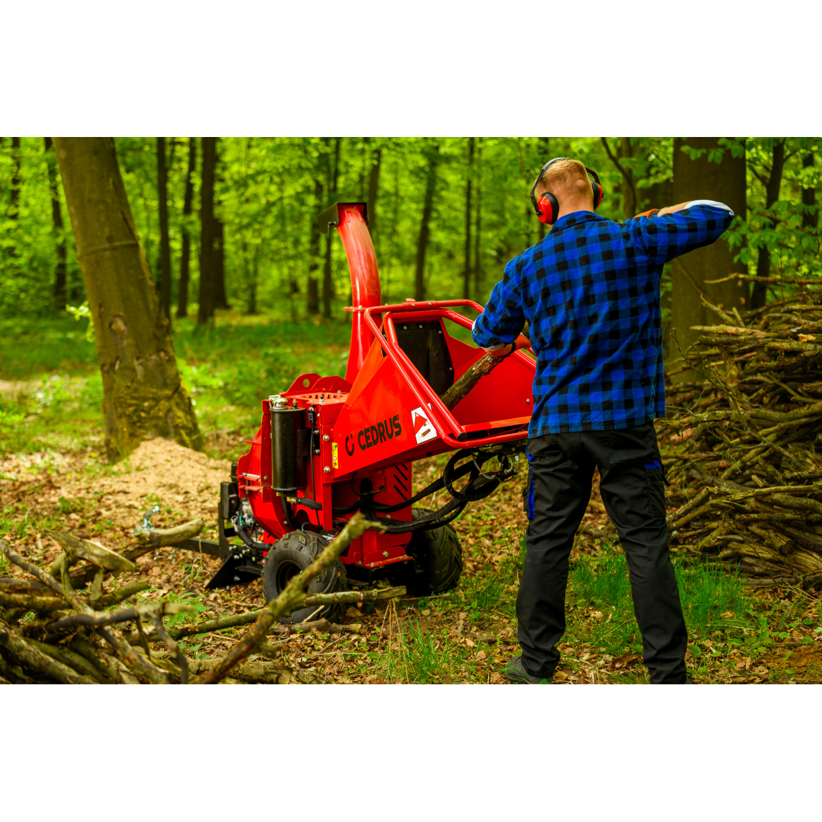 Hahn & Sohn Cedrus RB05PRO-HE ágaprító Előnézet 