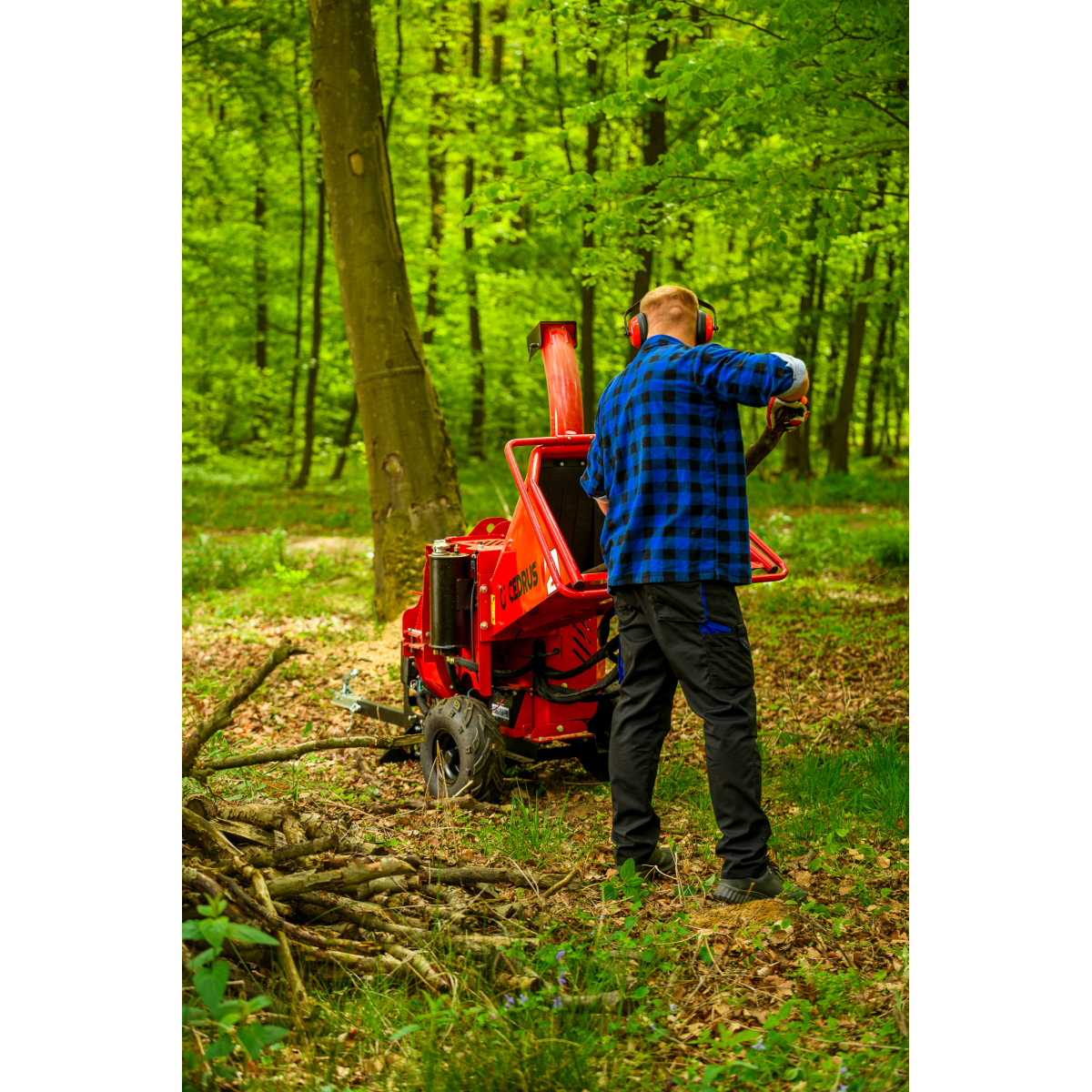 Hahn & Sohn Cedrus RB05PRO-HE ágaprító Előnézet 