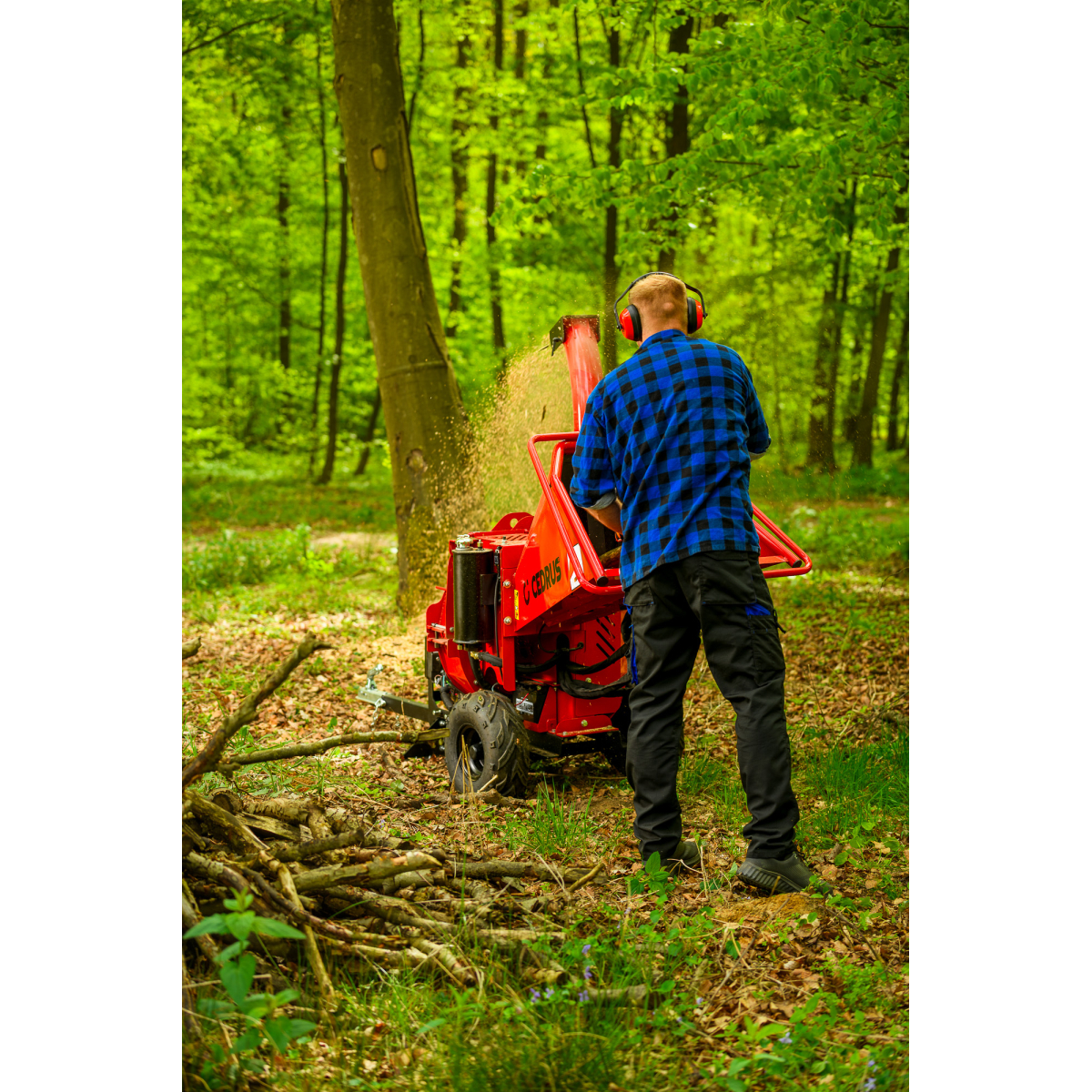 Hahn & Sohn Cedrus RB05PRO-HE ágaprító Előnézet 
