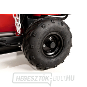 Hahn & Sohn Cedrus RB05PRO-HE ágaprító náhled