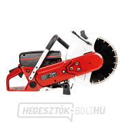 Hahn & Sohn Cedrus PC300 benzinmotoros vágó Előnézet 