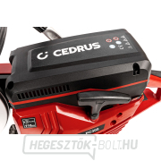 Hahn & Sohn Cedrus PC300 benzinmotoros vágó náhled