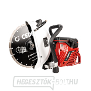 Hahn & Sohn Cedrus PC300 benzinmotoros vágó gallery main image