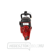 Hahn & Sohn Cedrus PC350 benzines láncfűrész náhled