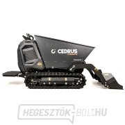 Hahn & Sohn Cedrus TR800GH-L benzinszállító sínhajtáson náhled