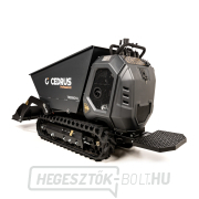 Hahn & Sohn Cedrus TR800GH-L benzinszállító sínhajtáson náhled