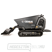 Hahn & Sohn Cedrus TR800GH-L benzinszállító sínhajtáson náhled