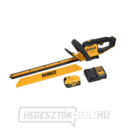 Dewalt DCMHT564P1 sövényvágó 55 cm, 25 mm 18 V XR - 1 x 5 Ah gallery main image