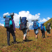 Viking SP30W napelem náhled