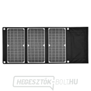 Viking SP30W napelem náhled