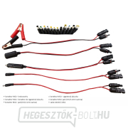 Viking LVP200 napelem náhled