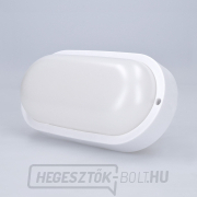 Solight LED kültéri világítás ovális, 13W, 910lm, 4000K, IP54, 21cm náhled